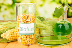 Beech biofuel availability